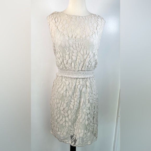 MAX STUDIO ~ Delicate Grey Dress with Sheer Leaf Woven Overlay ~ Size XS - Picture 1 of 6